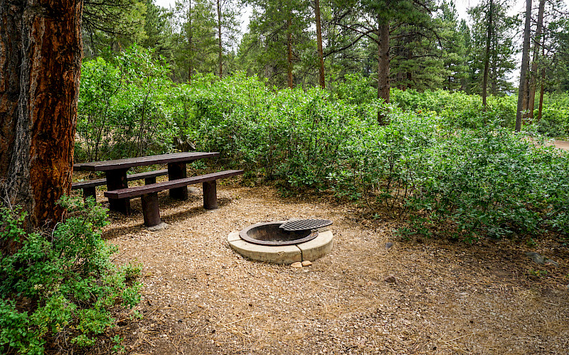 Yellow Pine Campground