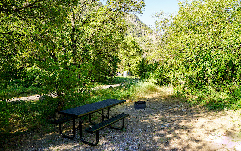 Bridger Campground