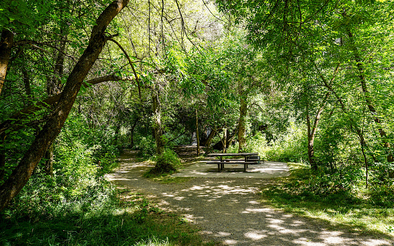Card Picnic Area
