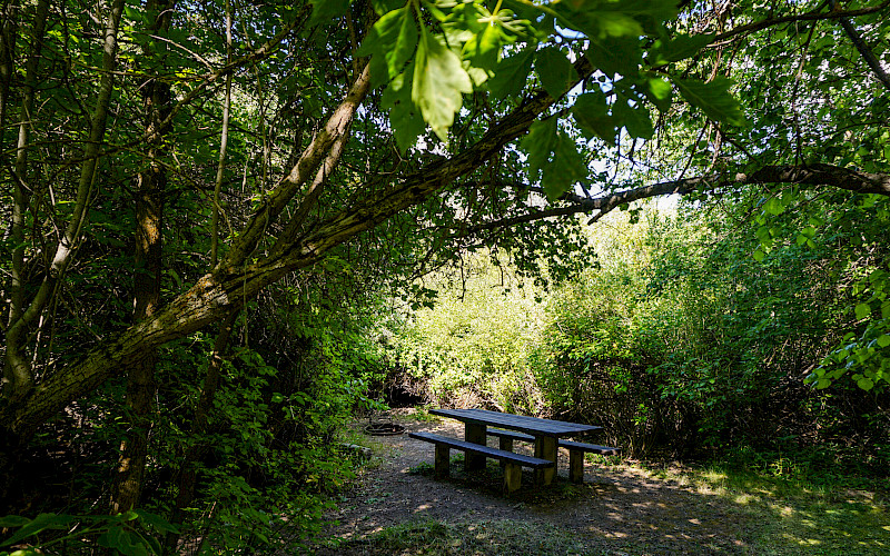 Pioneer Campground