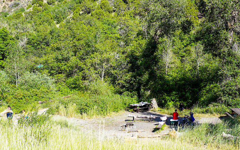 Cottonwood Campground