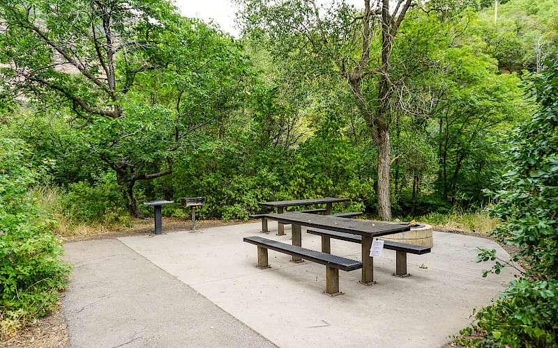 Dogwood Day Use Picnic Area