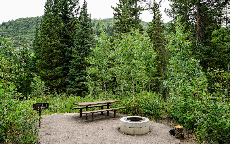 Spruces Campground